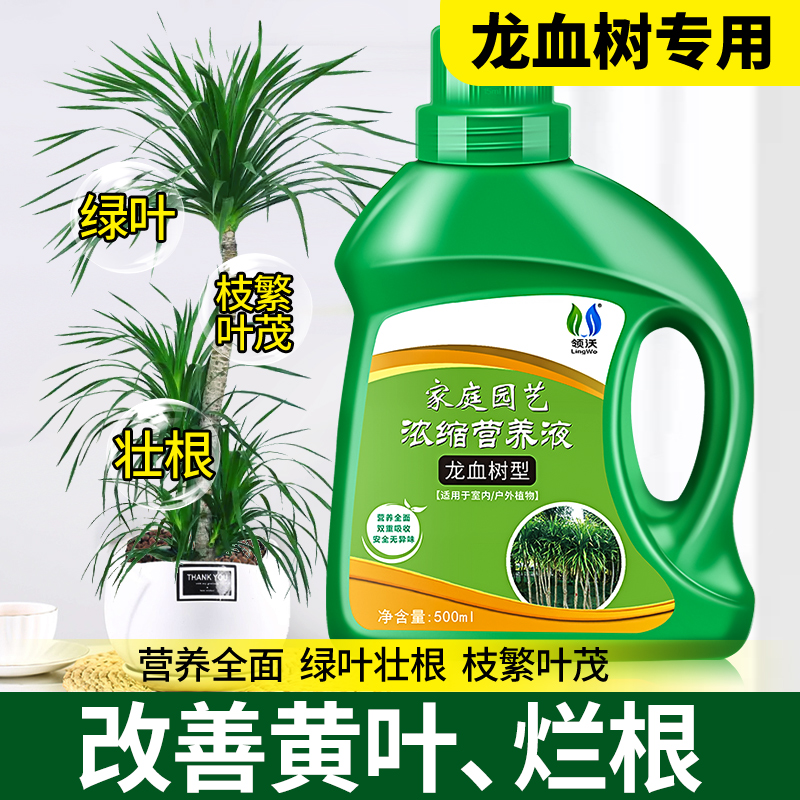 龙血树专用营养液防干枯土壤盆栽植物室内绿植养花花肥通用型肥料