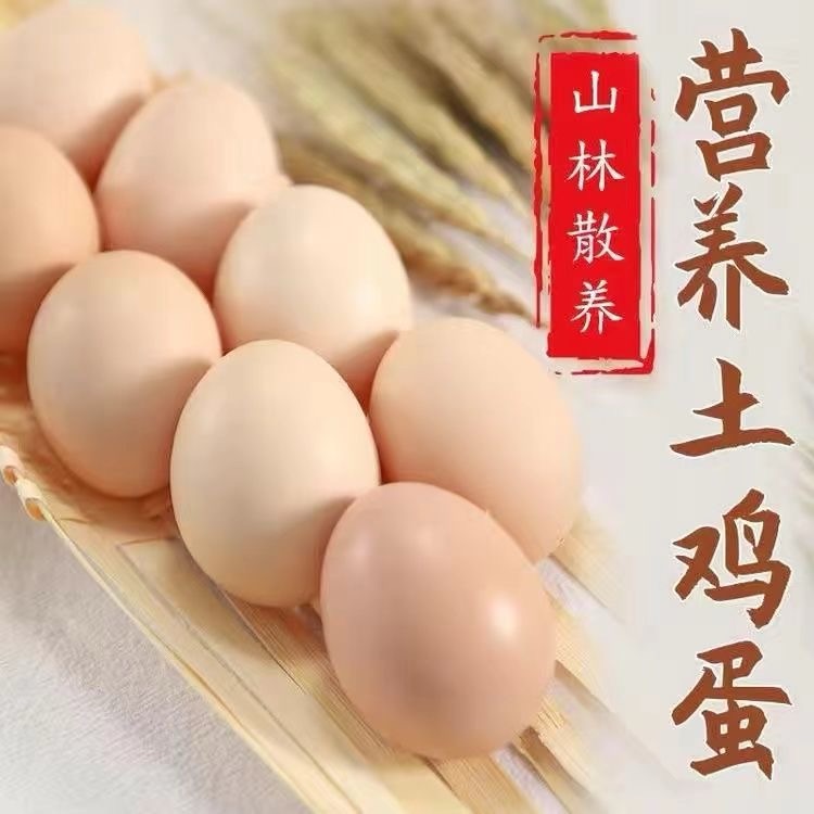 农家散儿童无抗营养中央蛋柴鹅蛋虫草蛋50枚散养