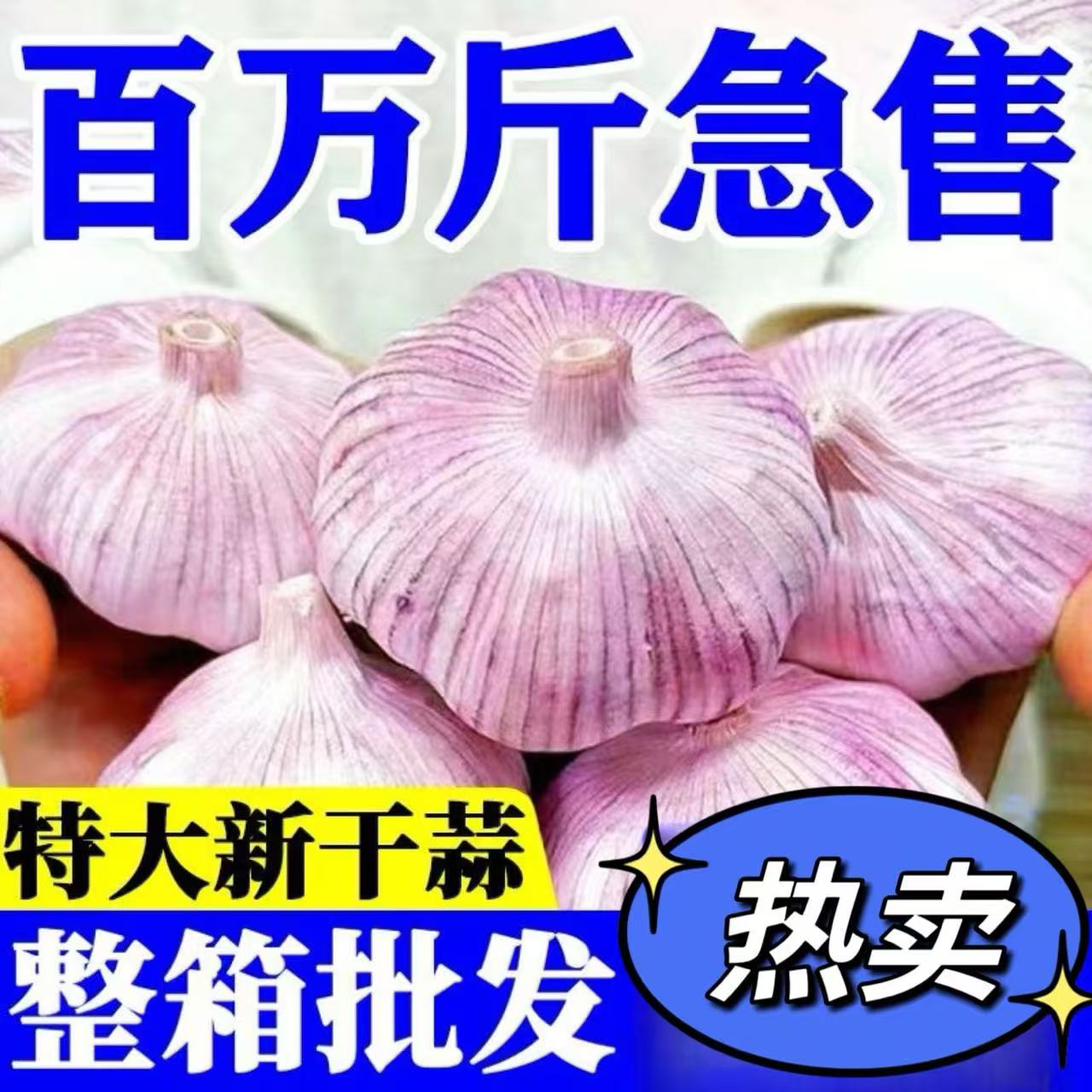 2025年新蒜干大蒜紫白皮大蒜紫皮大蒜多瓣蒜头产地直发