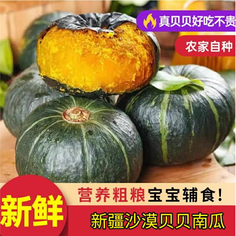 【新疆沙漠贝贝南瓜】正宗贝贝南瓜板栗味粉糯香甜宝宝辅食粗粮软糯