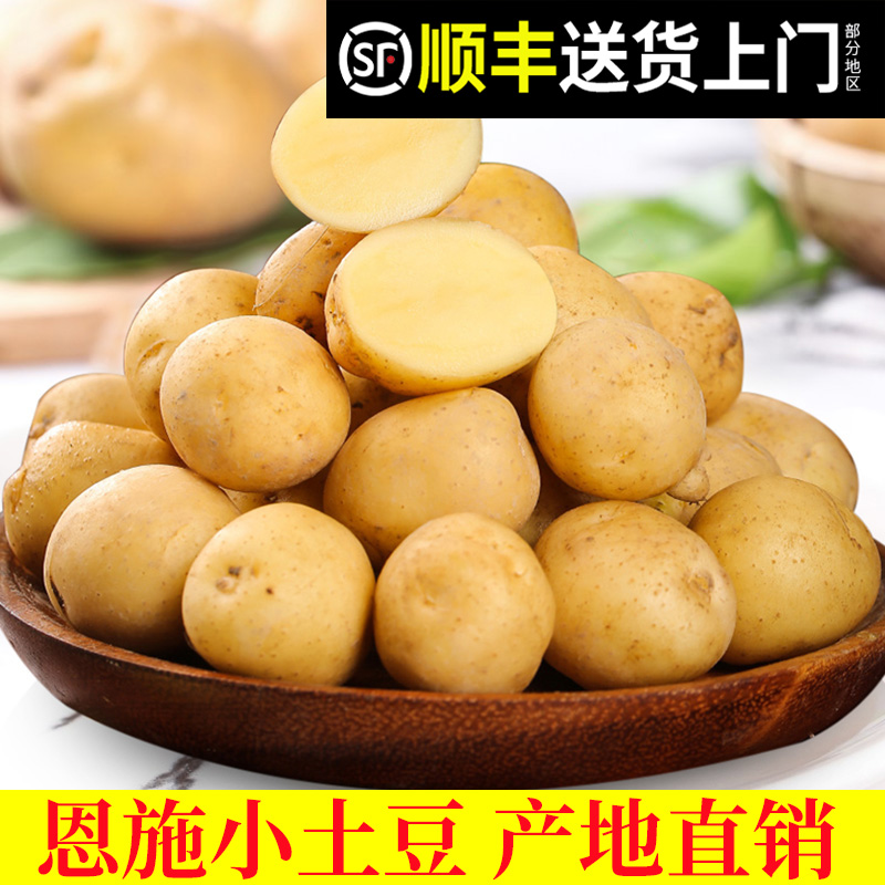 恩施小土豆顺丰包邮新鲜黄心土豆高山农家自种洋芋蔬菜产地现挖