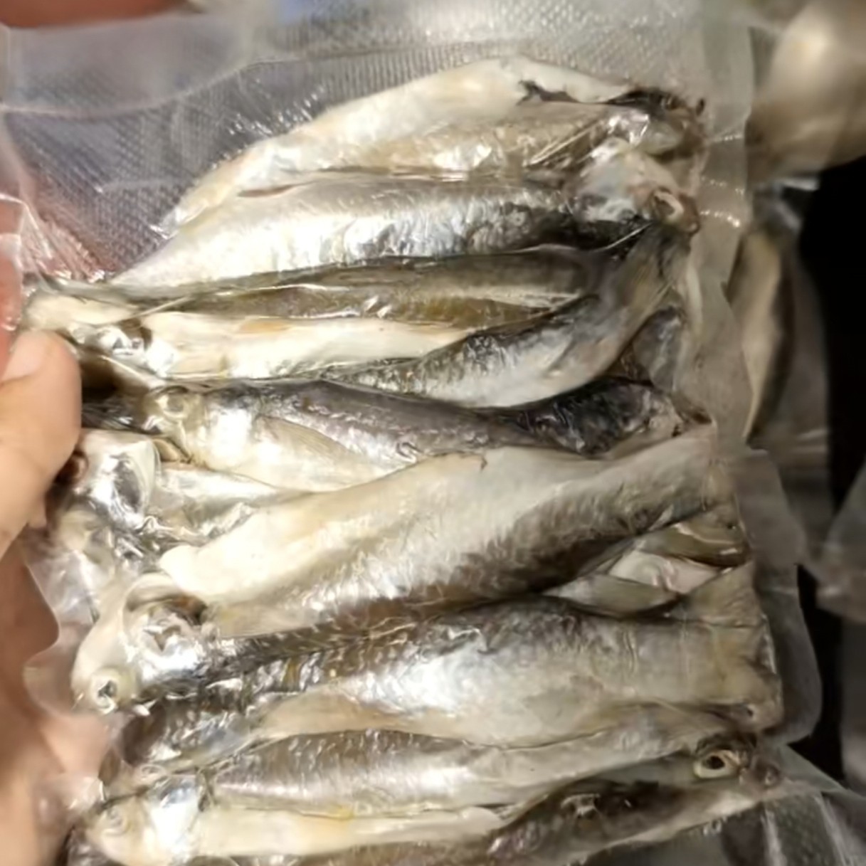 自己晒的第一批虫鱼干终于成了！没有科技狠活，就靠自然晾晒