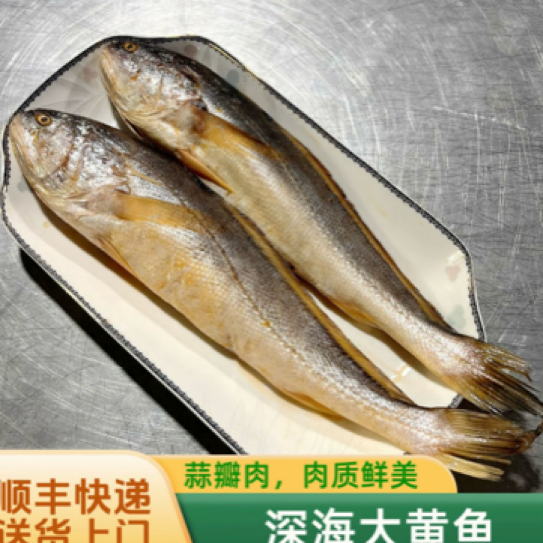 D（7条）海黄鱼 肉质鲜嫩  急冻锁鲜 码头直发7两左右/条 到手7条