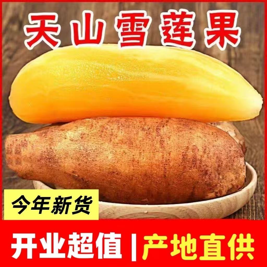 云南正宗头茬天山雪莲果应季新鲜水果雪莲果整箱净重发货坏果包赔