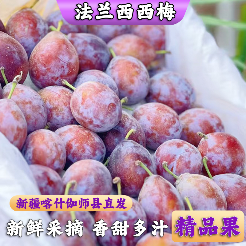 【新疆直发】正宗新疆喀什伽师法兰西西梅新鲜水果香甜多汁精品果