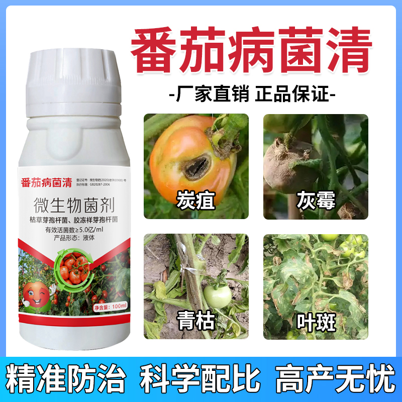 番茄病菌清番茄青枯番茄炭疽灰霉叶斑根腐裂果脐腐正品微生物菌剂