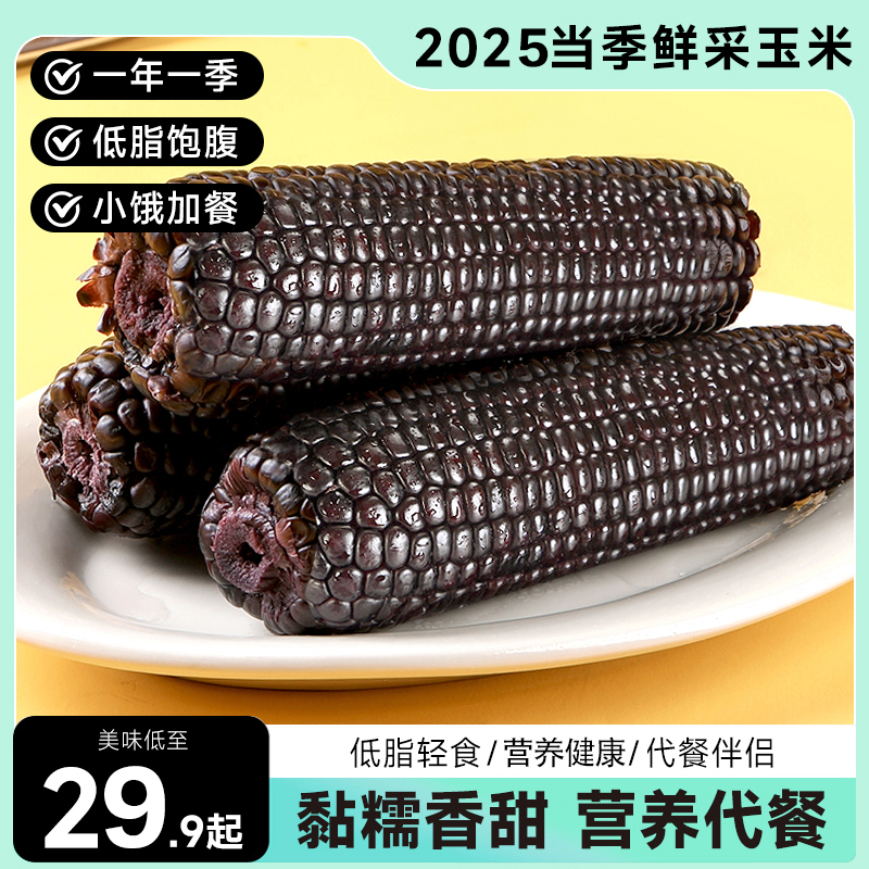 东北黑糯玉米【精选大果260g-300g/根】轻食代餐甜糯粘玉米粗粮早餐