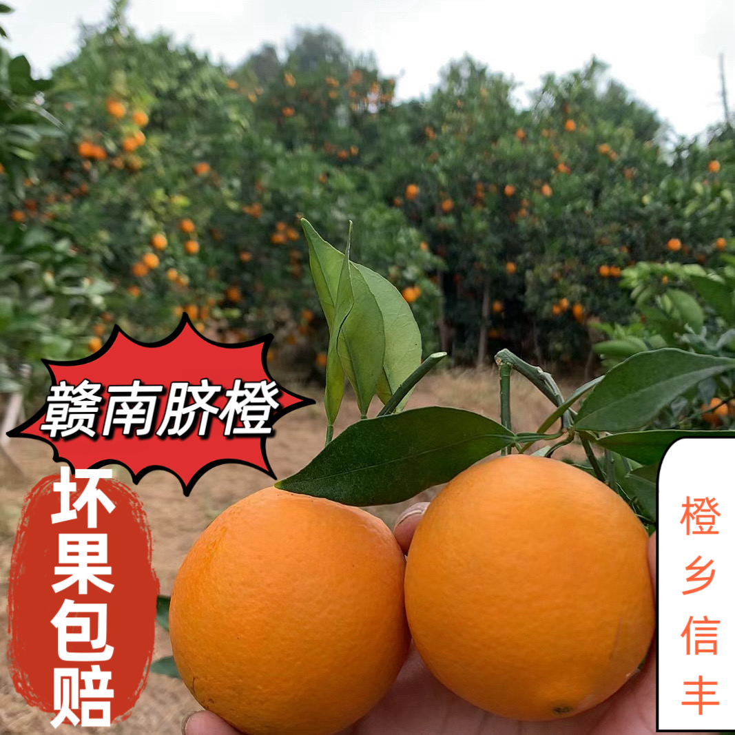 江西赣州橙子皮簿多汁