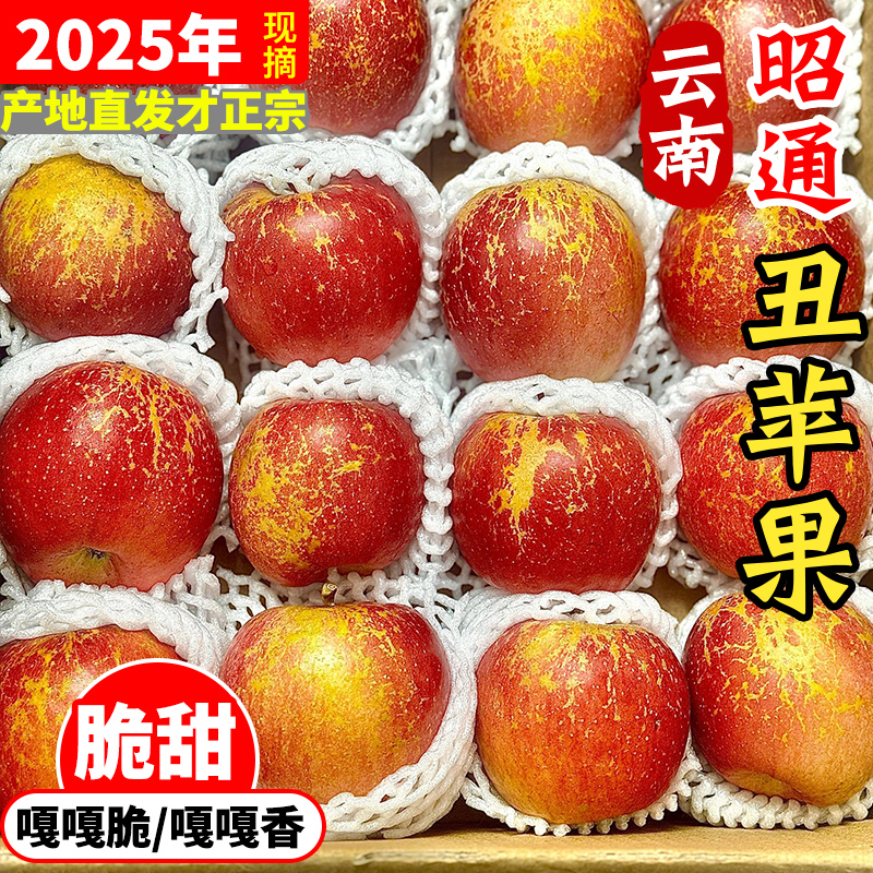 【昭通生态丑苹果】正宗云南昭通丑苹果冰糖心苹果新鲜水果2/5/9斤