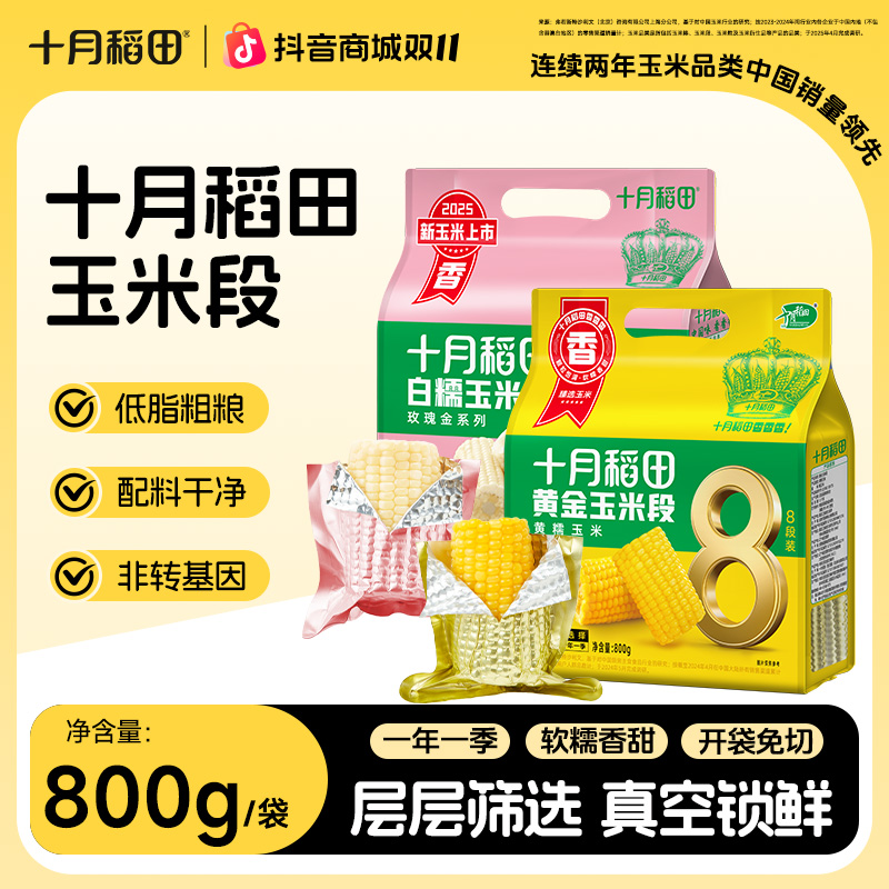 十月稻田黄金玉米段黄糯白糯东北黏苞米香糯粗粮轻食早餐食材夜宵
