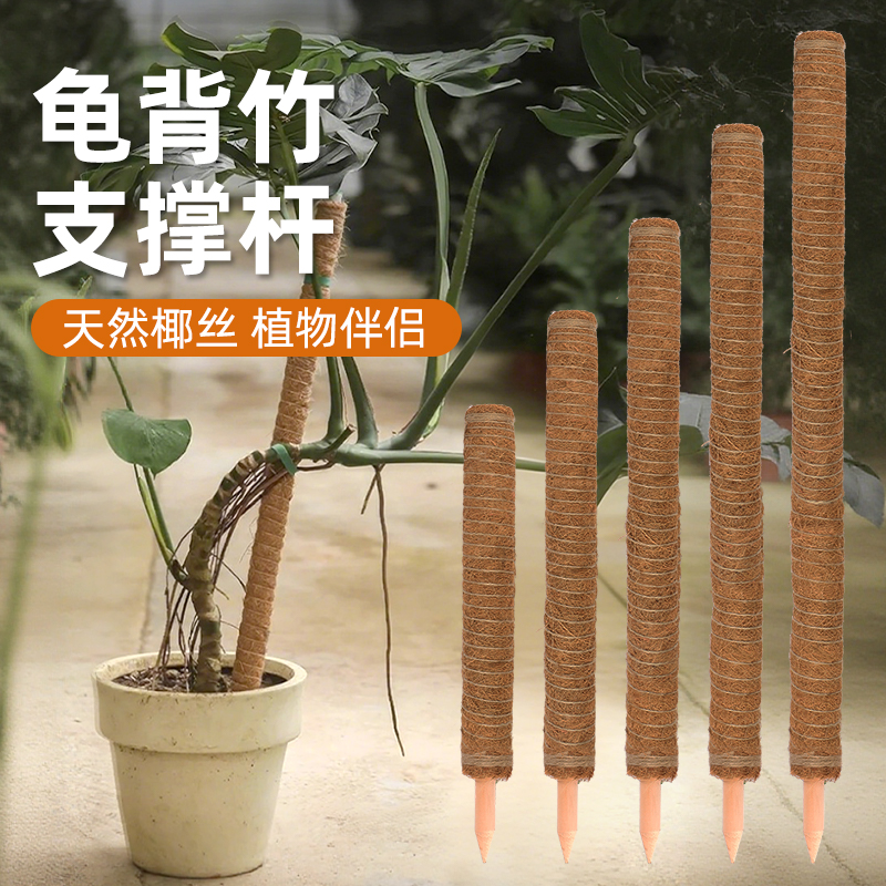 CPAI龟背竹植物支撑杆绿萝固定架天然椰棕棒室内植物花卉爬柱花架