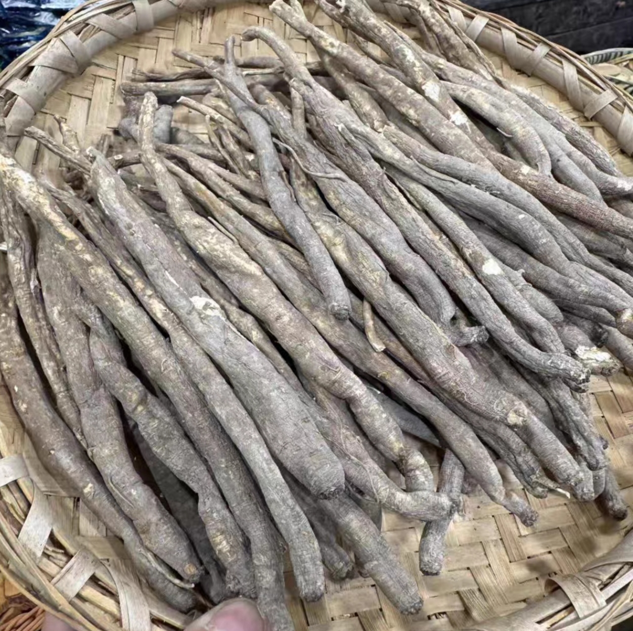 高山土当归炖汤炖鸡煮水煮蛋炖猪蹄排骨香甜浓郁