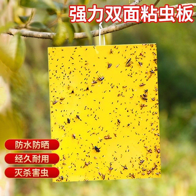 双面强力粘捕式诱虫黄板贴纸灭果蝇捕小飞虫果园大棚专用蚊子苍蝇