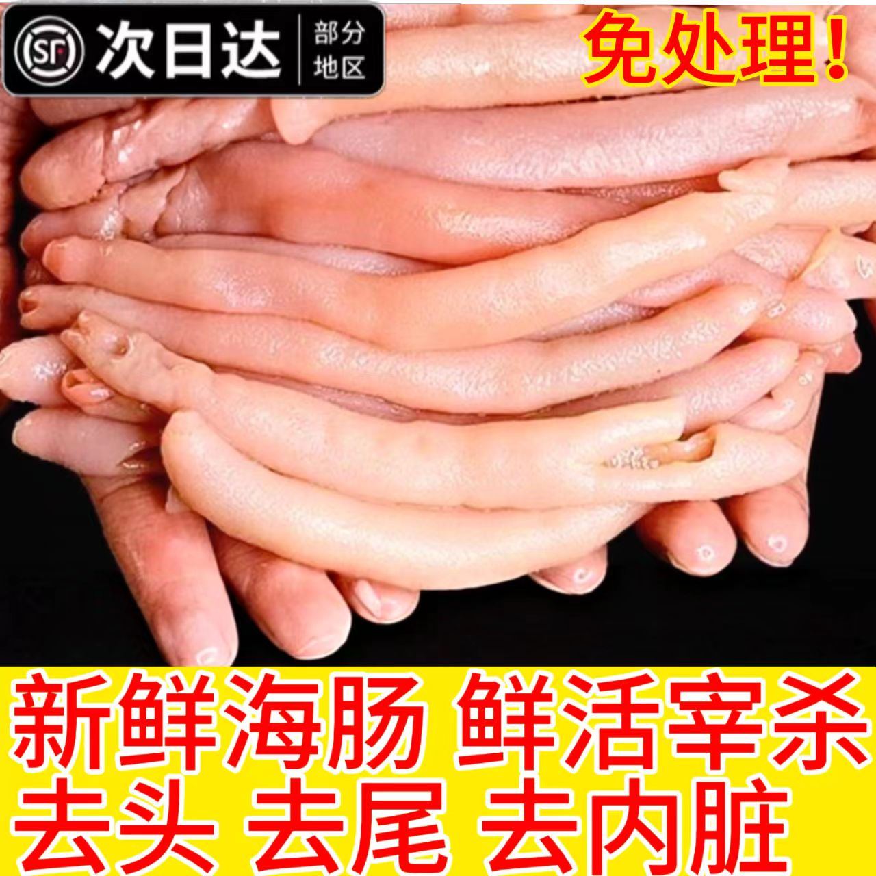 鲜活海肠新鲜速冻沙虫海捕大海肠皮200g葱油海肠捞饭海鲜水产商用