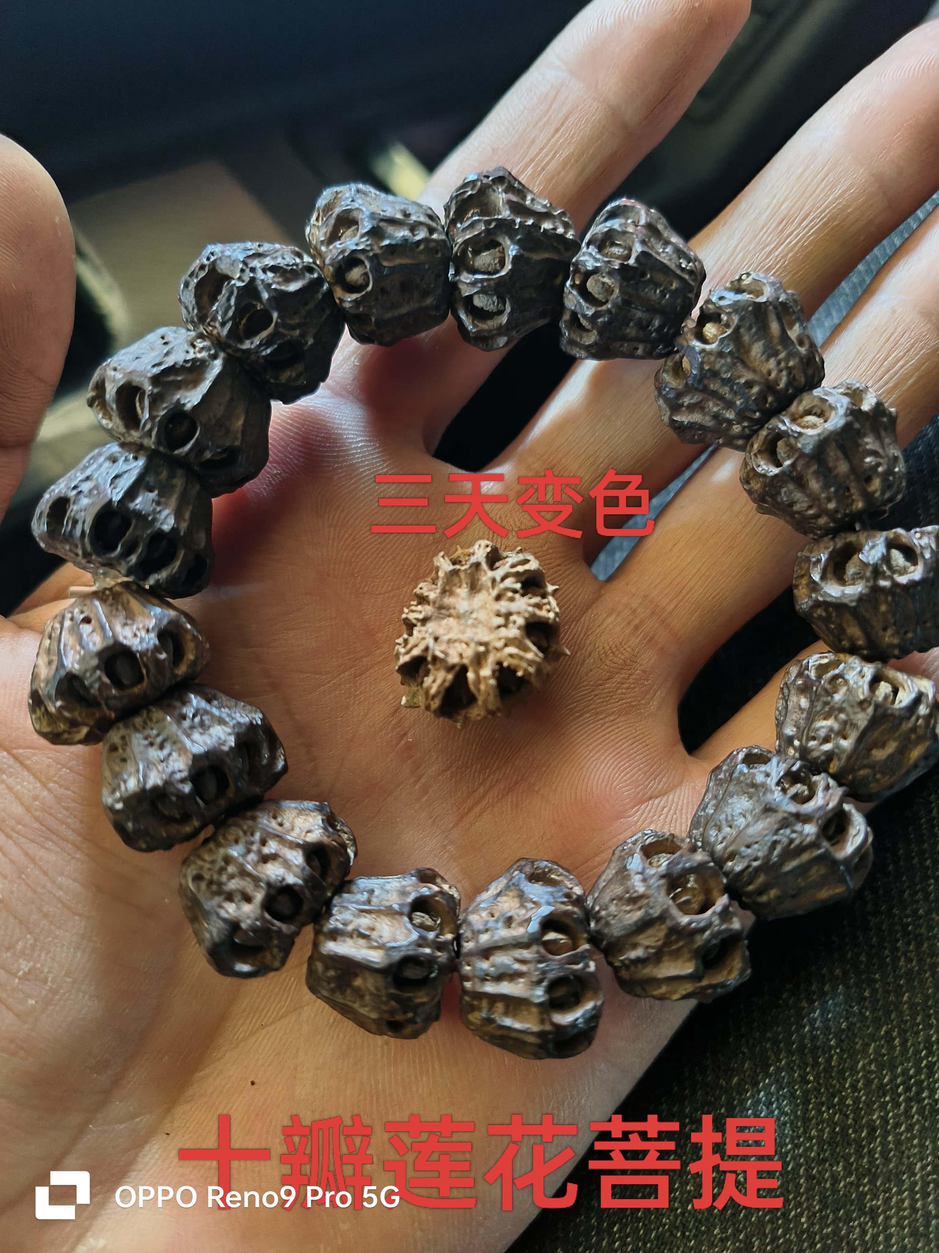 十掰莲花菩提手串上色快