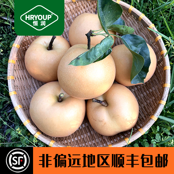 HRYOUP「中秋佳节」正宗烟台莱阳产区秋月梨脆甜多汁非偏远顺丰包邮