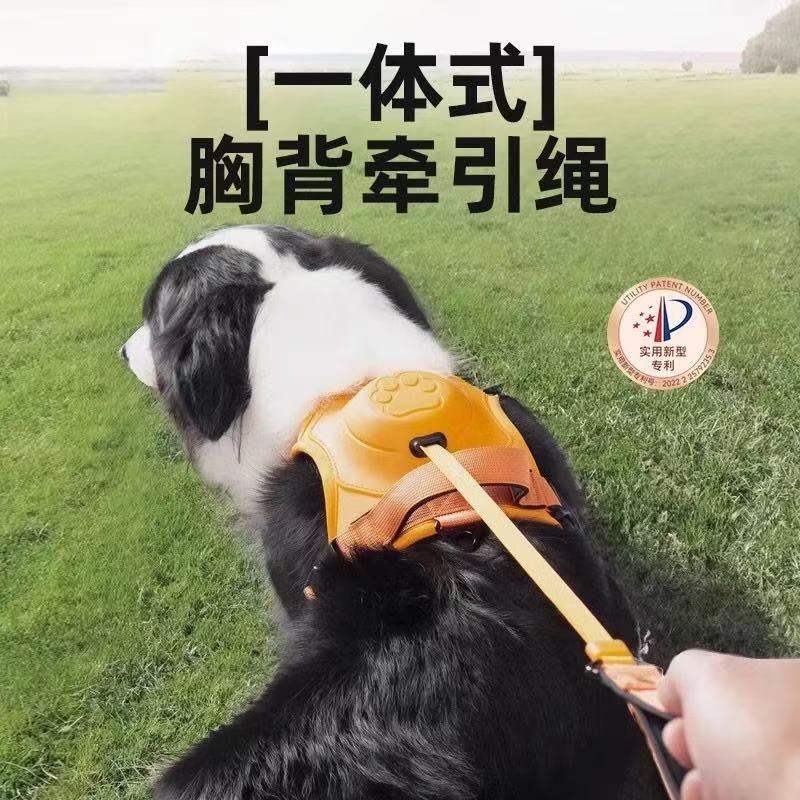 狗狗牵引绳胸背一体可伸缩遛狗绳中型大型犬大雪纳瑞专用牵引绳