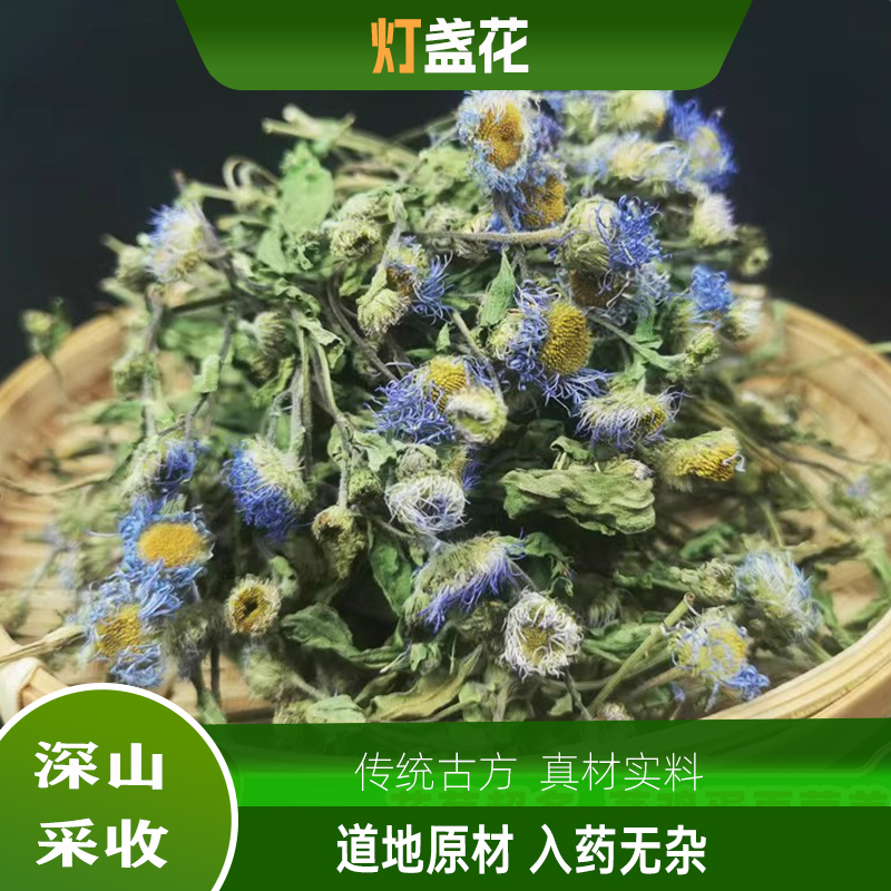 云南新货灯盏花中药材新货灯盏花天然干货灯盏细辛灯盏