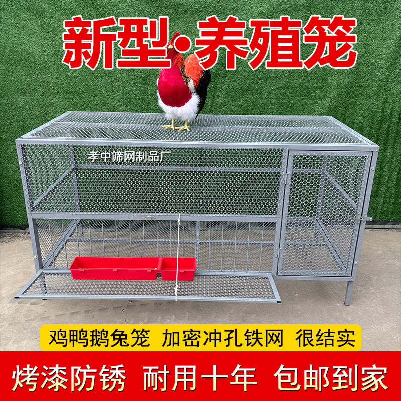 加厚养殖鸡笼子家用室外大号方管密网防雨农村芦丁养殖笼防黄鼠狼