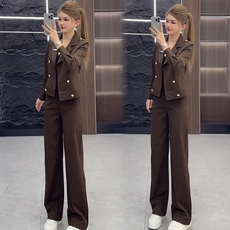 2025秋季新款时尚显瘦气质网红高档套装女高级百搭宽松大码两件套
