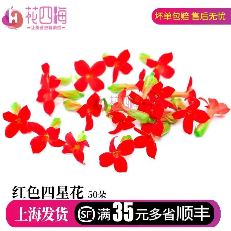 新鲜红色四星花繁星花西餐蛋糕烘培料理调酒冷菜菜品摆盘装饰点缀