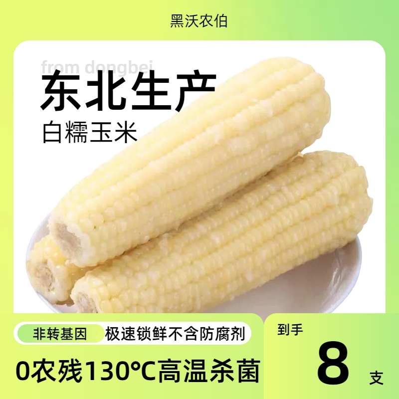 25年东北头茬白糯玉米8根单根240g以上玉米正宗东北甜糯玉米