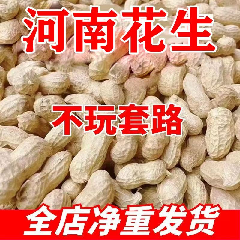 2025年当季自然晒干带壳干花生可吃可种可榨油