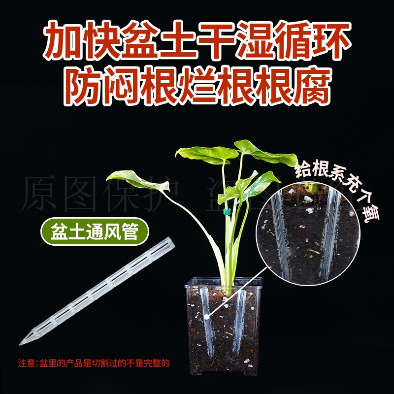 盆土通风管透气管防闷根烂根防根腐病透加快干湿循环头透明花盆