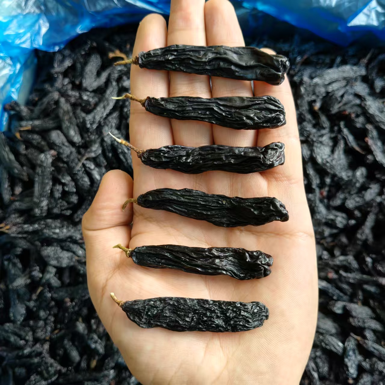 2025年新货新疆特产超大颗粒蓝宝石黑葡萄干自然晒干健康办公零食