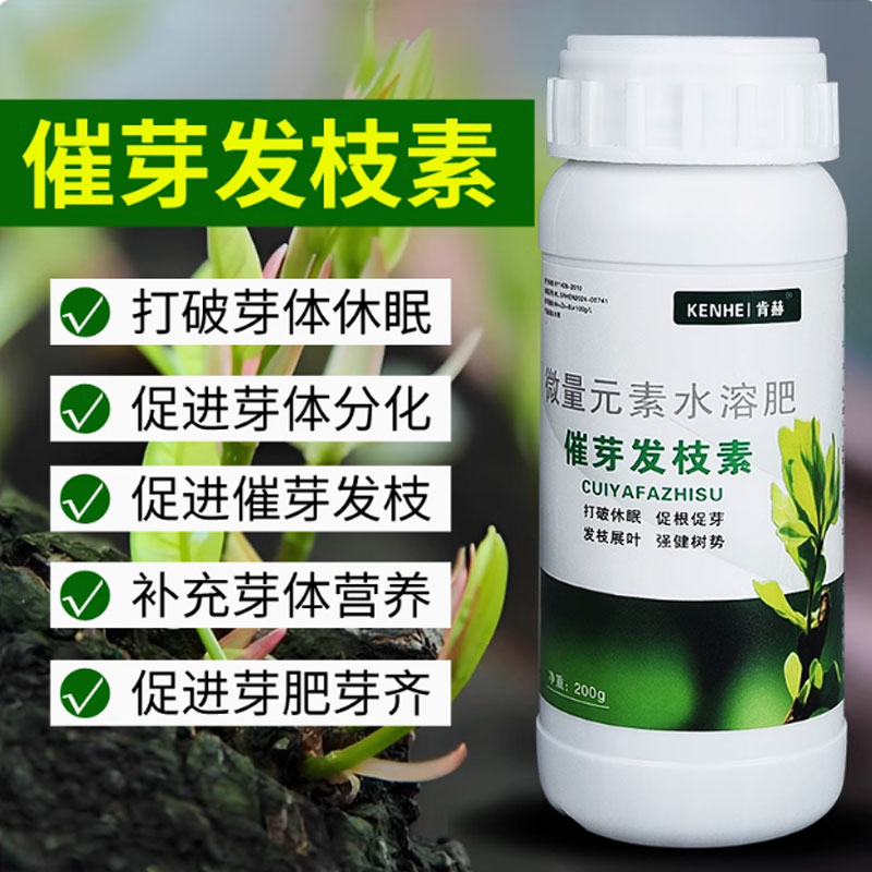 催芽剂发枝素植物细胞分裂素多肉茶叶苗木茶树促发芽爆芽素优芽素