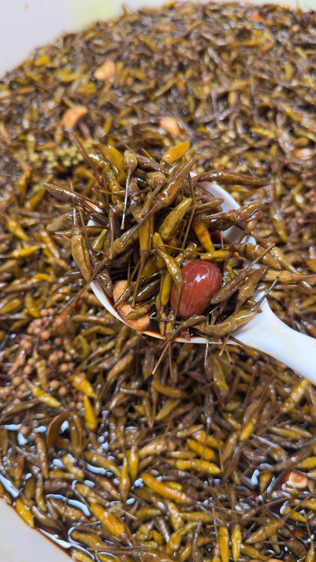 云南文山当地泡椒小雀椒