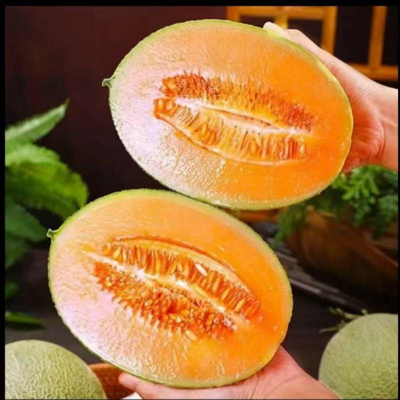 新鲜哈密瓜海南西州蜜应季水果当季时令网纹精品整箱爆甜皮薄肉厚