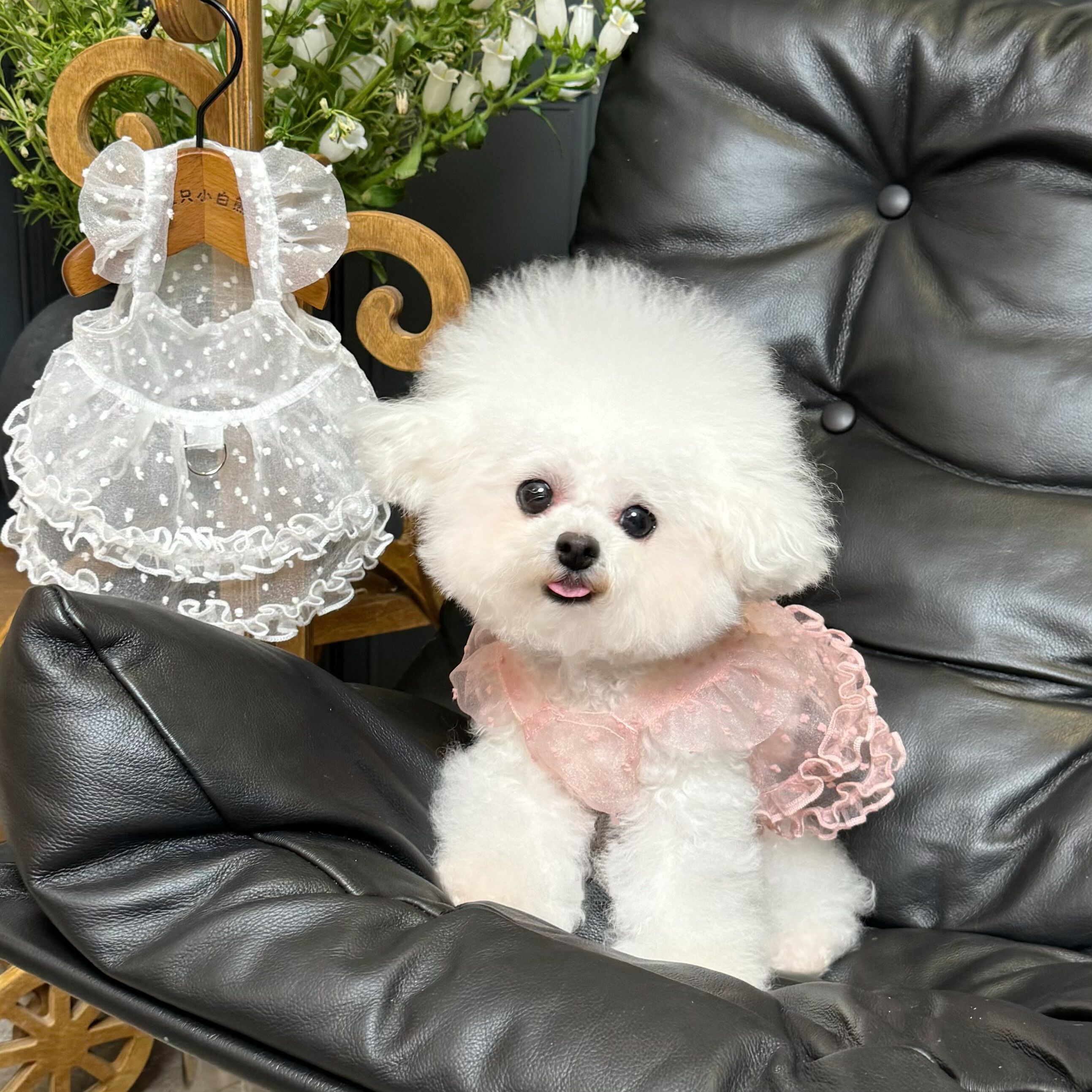 五只小白熊原创宠物衣服春夏新款网纱飞袖公主裙狗狗猫咪防晒衣服