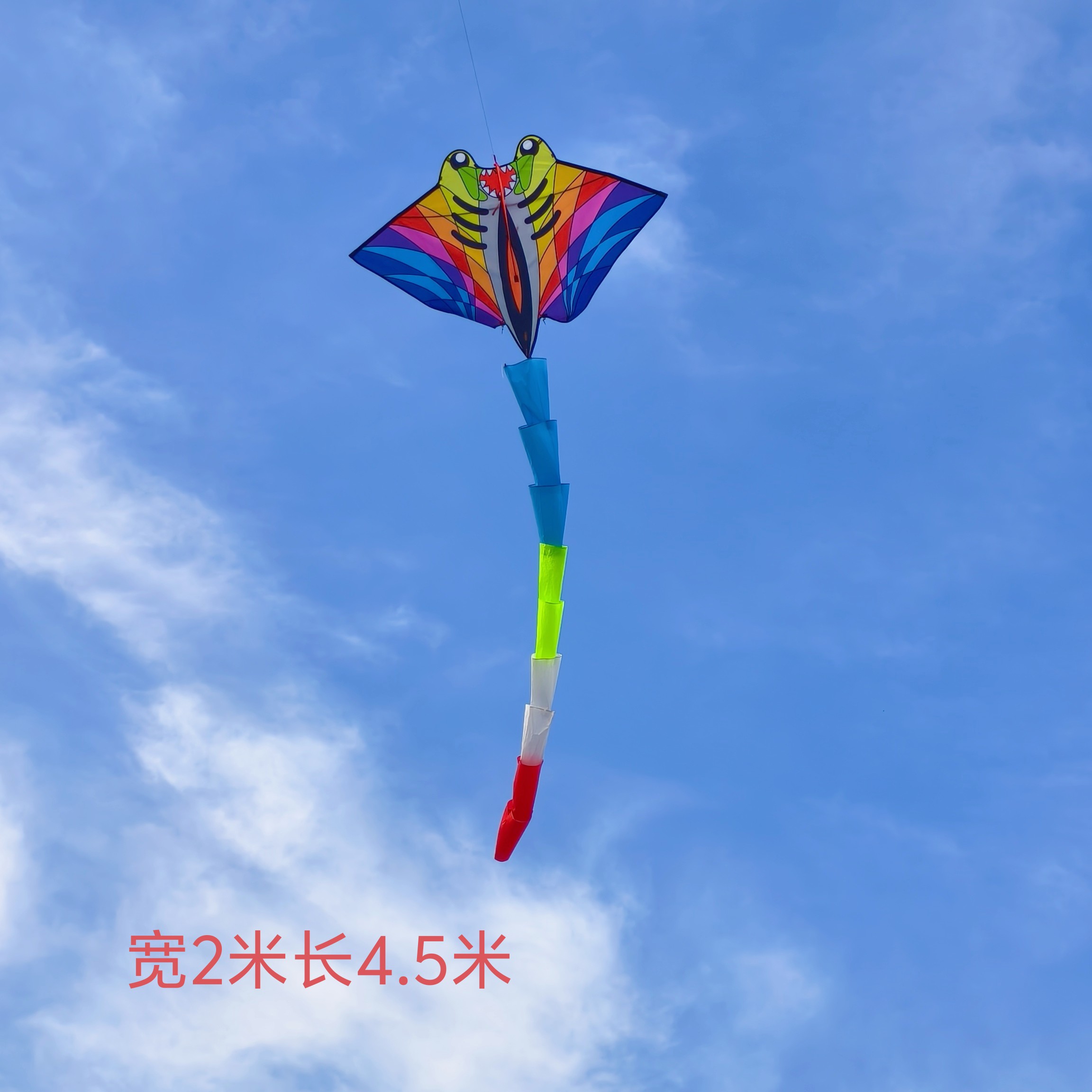 咏春鳐鱼风筝到手可飞可抗大风长风筝平板鳐鱼锥度糖果尾好看易飞