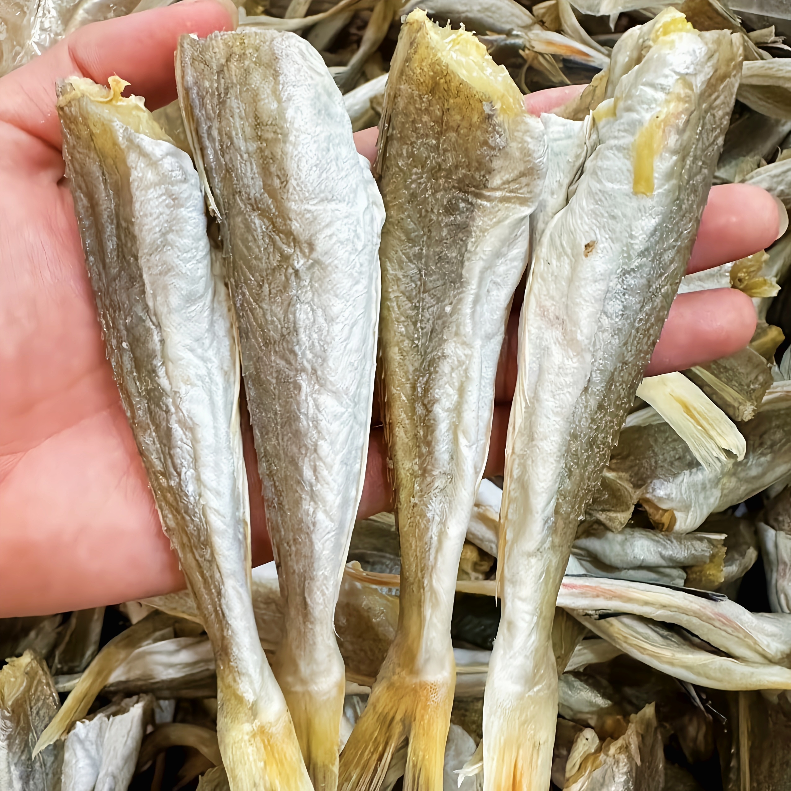 【马鲛仔海产】新晒角条鱼干咸鱼干 1斤装 顺丰包邮 茂名博贺港海产