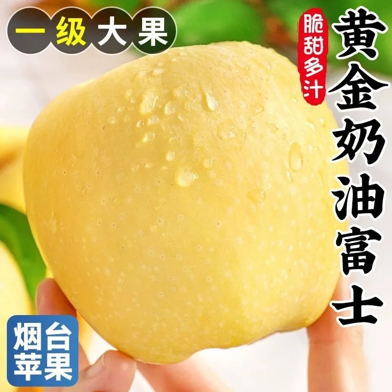 山东烟台黄金奶油富士苹果新鲜当季现摘整箱肉厚脆甜当季甜苹果