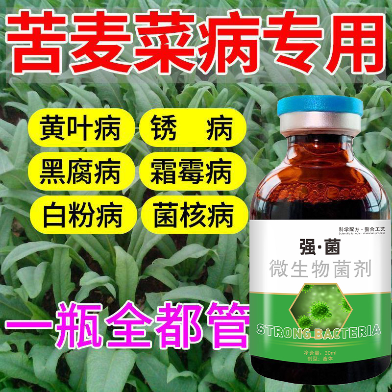 苦麦菜专用药油麦菜生菜茎腐白粉病霜霉病黑腐病毒炭疽微生物肥料
