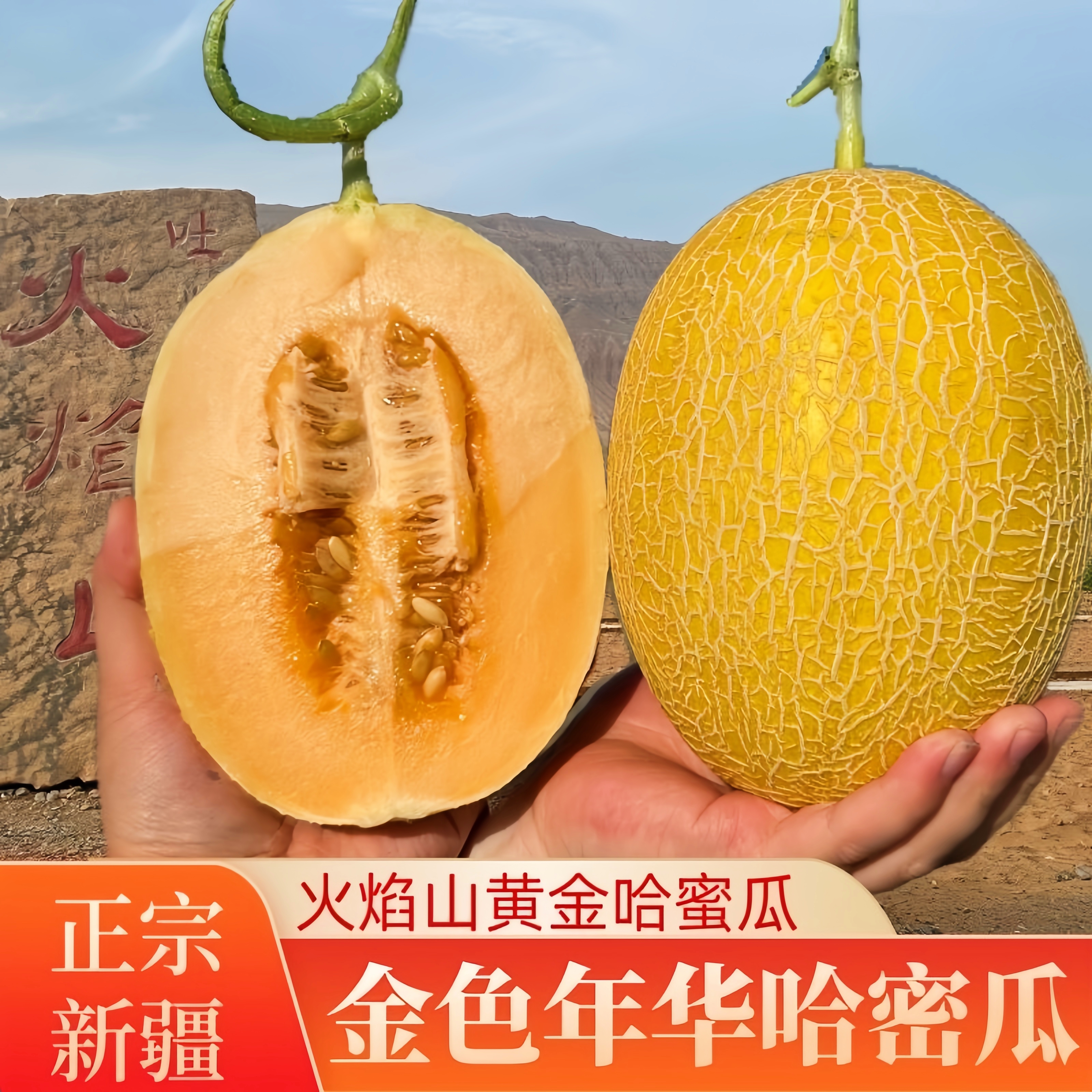 【哈密瓜十斤装】新疆吐鲁番金色年华哈密瓜现摘现发新鲜脆甜水果