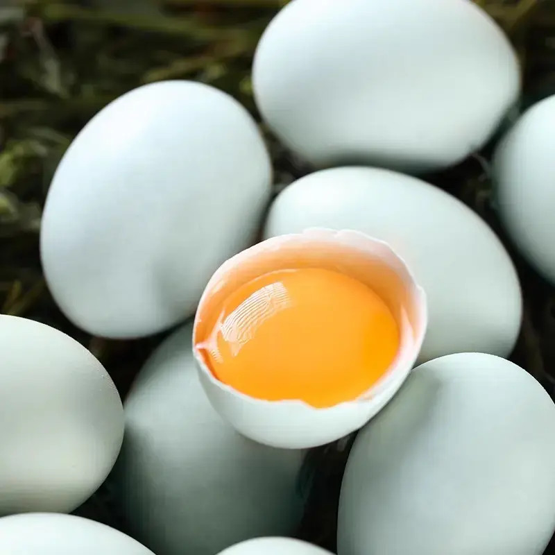 50枚绿壳蛋【新鲜现发】农家绿壳乌鸡蛋 谷物喂养新鲜鸡蛋45克/枚