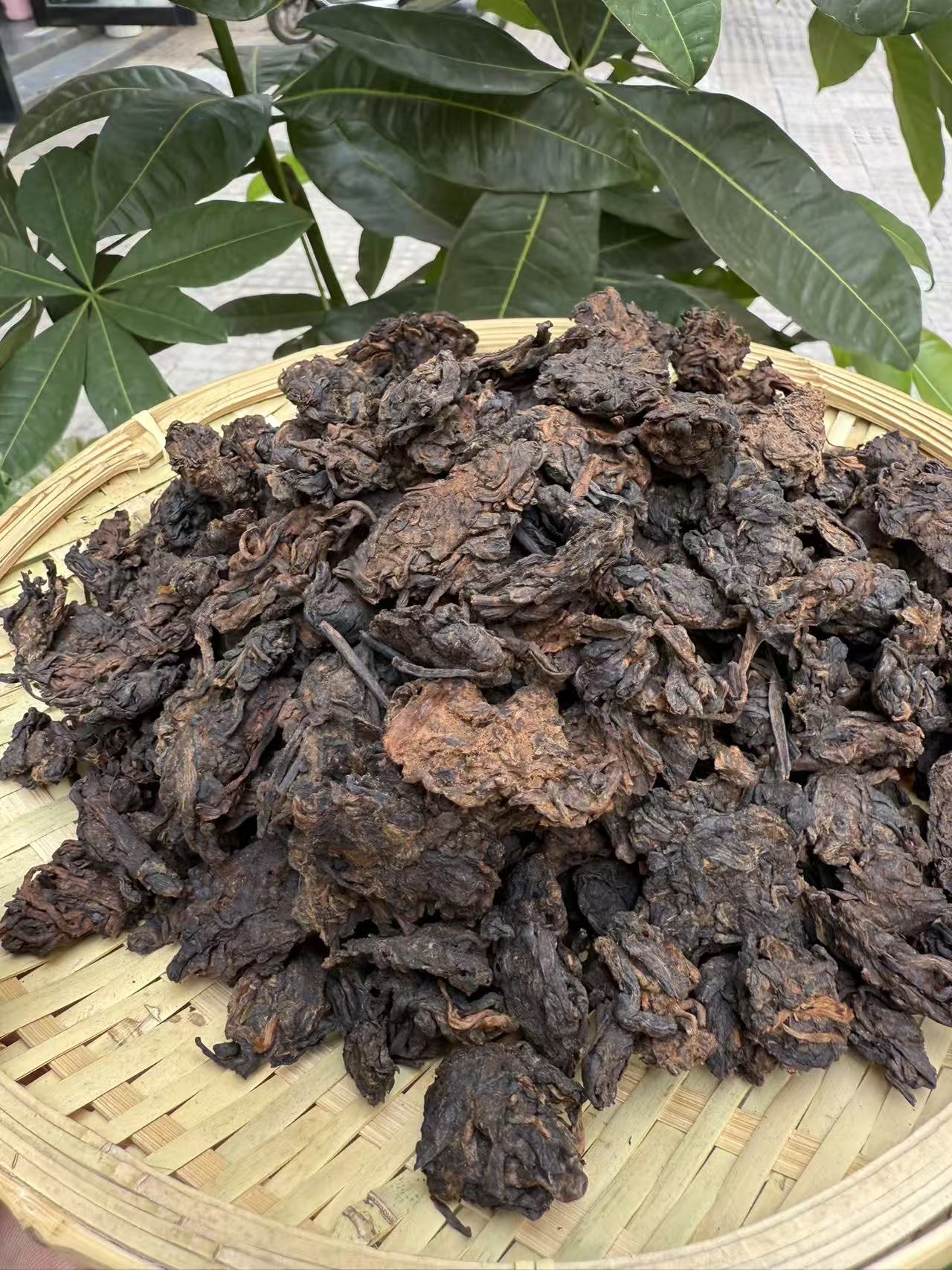 云南普洱熟茶老茶头樟香耐泡醇厚优质口粮