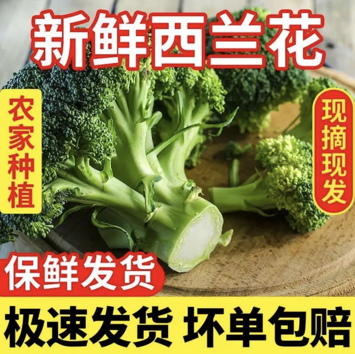【当天砍当天发】西兰花现砍现发农家自种西兰花露天种植泡沫箱加冰