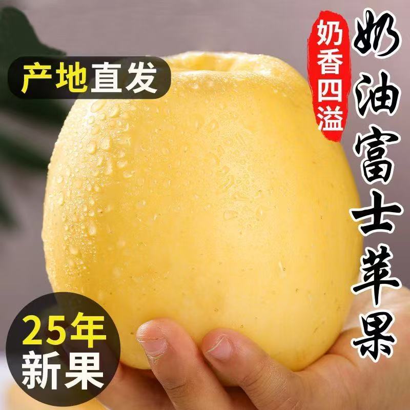 正宗烟台奶油富士苹果脆甜多汁新鲜采摘苹果水果奶油富士苹果