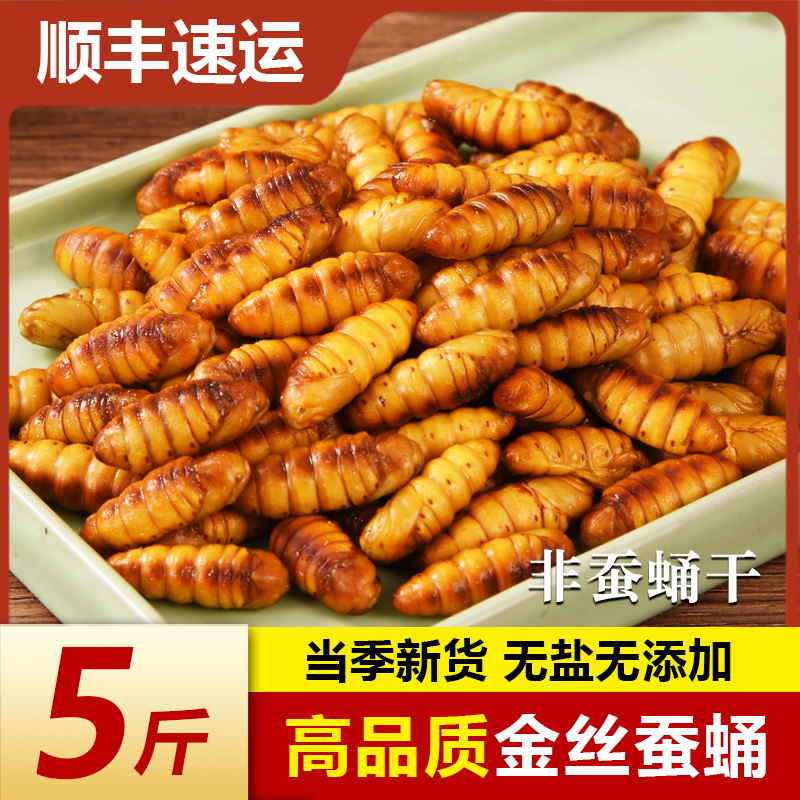 新鲜金丝蚕蛹速冻冷冻商用烧烤特级山东特产农家桑蚕非蚕蛹干即食