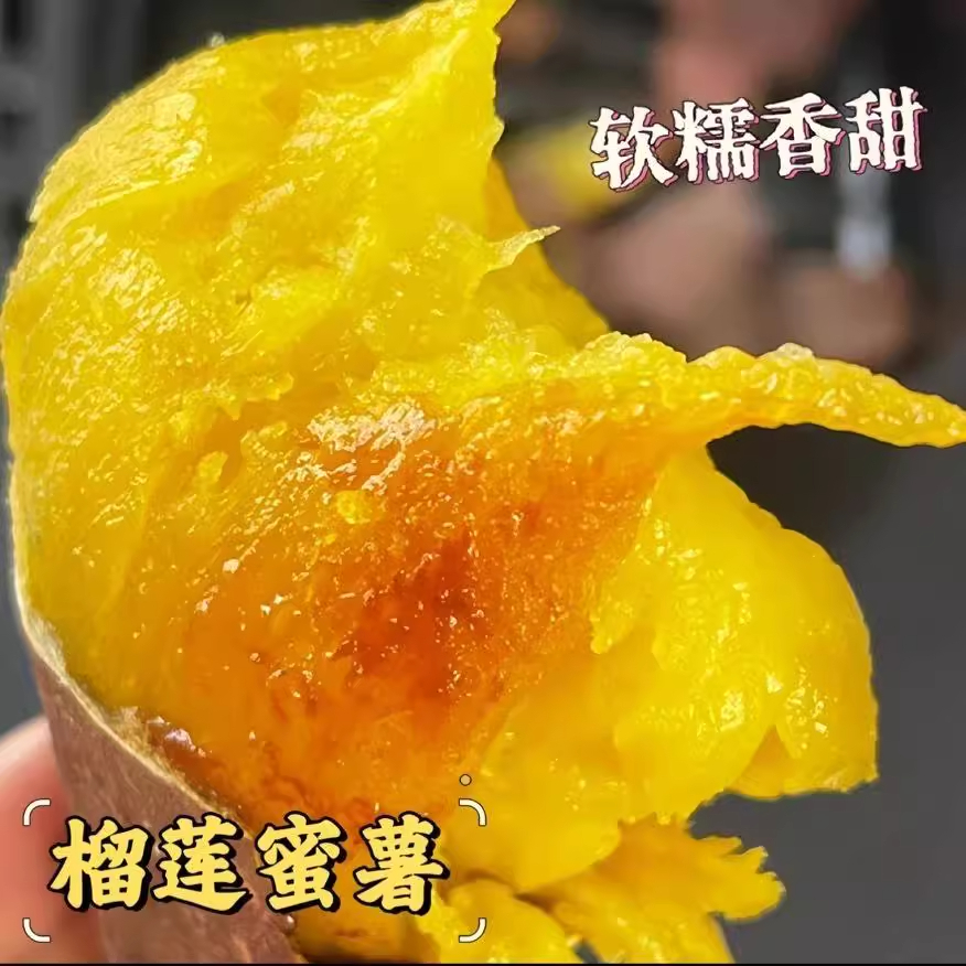 正宗榴莲蜜薯沙地农家红薯软糯香甜烤地瓜新鲜黄心大山芋丝滑番薯