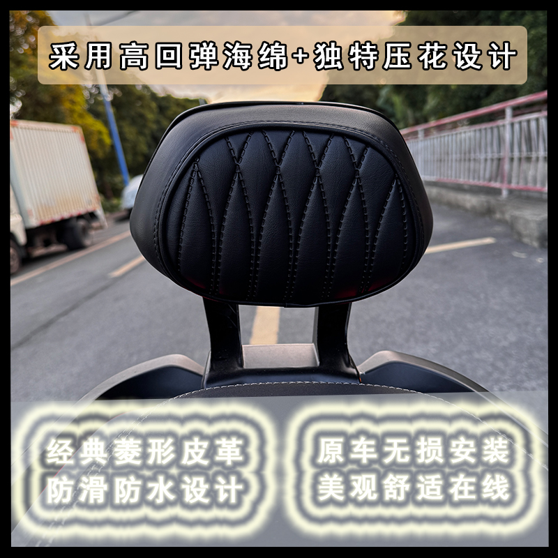 适用极核AE4/Ae5电摩电自靠背铝合金直上后靠背加厚靠垫改装件