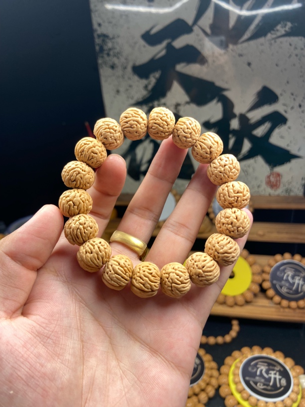 國核—至尊健美先生