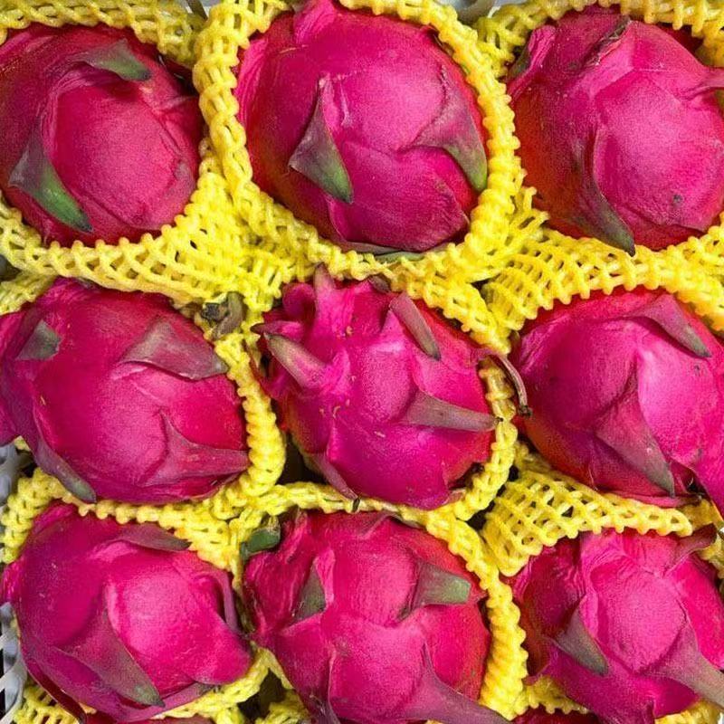 【产地直播】广西火龙果金都一号红心火龙果新鲜水果鲜红口感美味