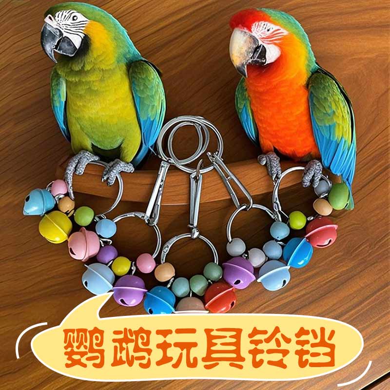小中大型鹦鹉玩具 铃铛披肩挂件配金刚牡丹玄凤玩具 站架啃咬铃铛