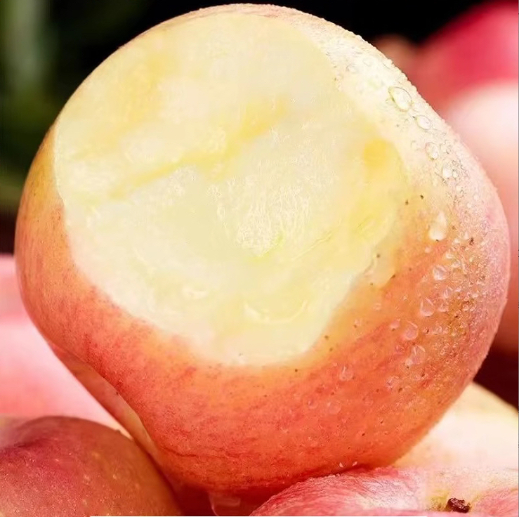 陕西红富士新鲜脆甜多汁当季应季水果