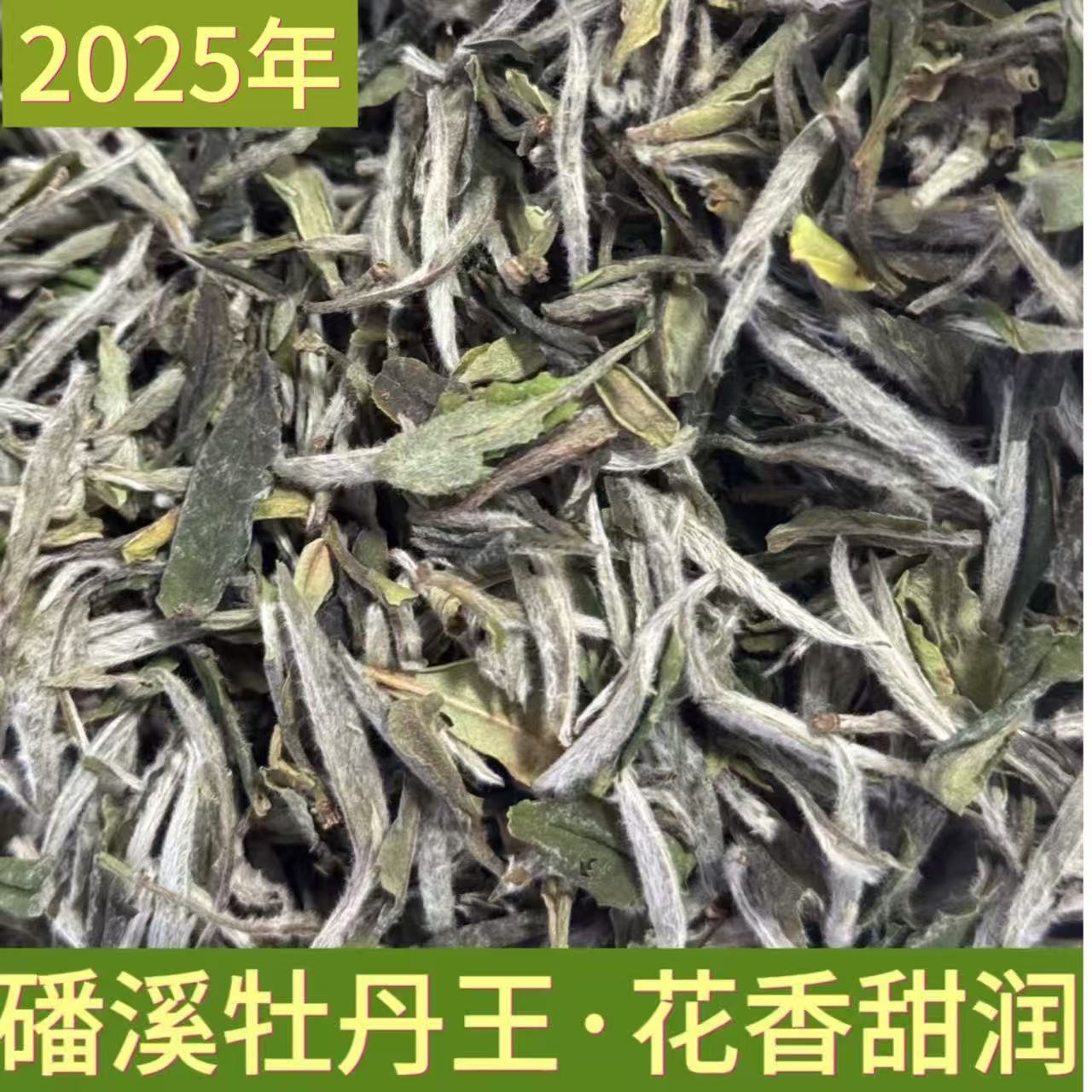 牡丹王2025福鼎磻溪高山牡丹王 花香甜润125克/250克